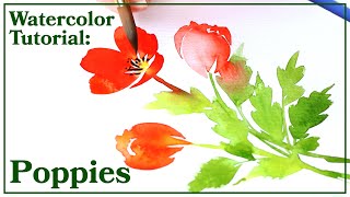 Watercolor Tutorial  How to Paint Poppies [upl. by Suirtemid]