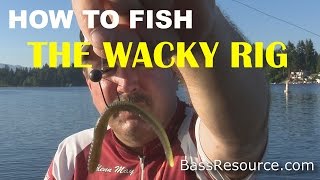 How to Fish a Wacky Rig for Bass  Bass Fishing [upl. by Maclaine652]