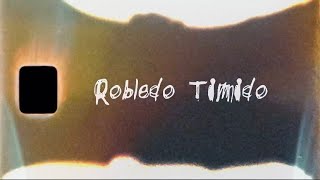 Robledo Timido  DOWNFALL Official Visualizer [upl. by Bittner]