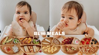 Easy Baby Led Weaning Meals  My Babys Favorite Foods For Breakfast Lunch amp Dinner [upl. by Eirelam]