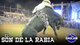 EL SON DE LA RABIA  BANDA 466 PASO A PASO Estudio 2015 [upl. by Betthel]