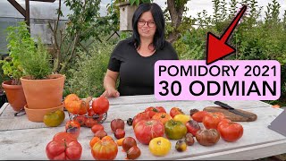 30 0DMIAN POMIDORÓW 2021 POMIDORY ROSYJSKIE UPRAWA POMIDORÓW Kasia in pomidory 2021 [upl. by Deloris769]