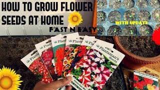 How To Grow Flower Seeds Fast With Update [upl. by Ivens]