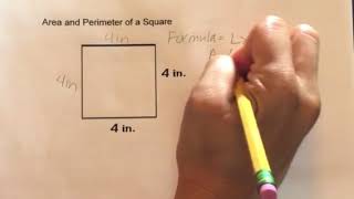 How to find the Area and Perimeter of a Square [upl. by Lebezej]