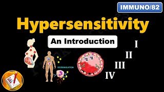 Hypersensitivity  I II III IV An Introduction FLImmuno82 [upl. by Azaria]