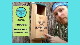 Owl House Box Install Screech Owl Saw Whet Owl [upl. by Ecinerev]