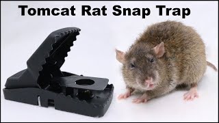 The Tomcat Rat Snap Trap amp A Bobcat Mousetrap Monday [upl. by Tab621]