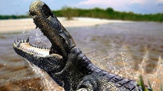 Purussaurus  The Biggest Crocodile That Ever Existed  Documentary EnglishHD [upl. by Roe367]