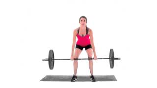 Barbell Deadlift [upl. by Ellehsim]