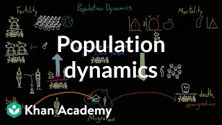 Population dynamics  Society and Culture  MCAT  Khan Academy [upl. by Corette]