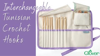 Tool School Interchangeable Tunisian Crochet Hooks [upl. by Llehsal232]