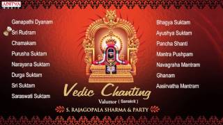 Vedic Chanting  S Rajagopalsharma Sanskrit Devotional Jukebox  Aditya Bhakti vedicchanting [upl. by Nayab]