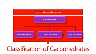 Classification of carbohydrates  Introduction Function amp Classification with Examples [upl. by Joselyn11]