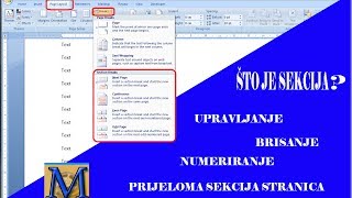 Što je sekcija u Wordu  upravljanje brisanje i numeriranje sekcija stranica HD [upl. by Armand]