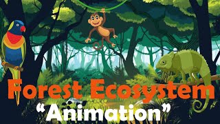 FOREST ECOSYSTEM  Biology Animation [upl. by Esinert664]