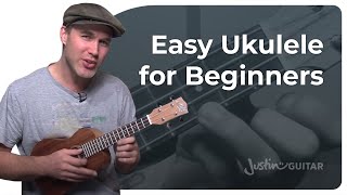 How to Play the Ukulele 4 Easy Chords amp Many Songs [upl. by Oisangi]