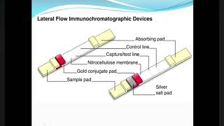 Guide to Immunochromatographic Assay [upl. by Dietsche]