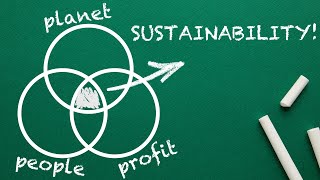 What is SUSTAINABILITY Explained By An Expert [upl. by Latricia]