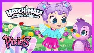 ALL THE EPISODES MEGA COMPILATION  Adventures in Hatchtopia PIXIES  Hatchimals [upl. by Nylia]