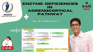 Enzyme Deficiencies In Adrenocortical Pathway CONGENITAL ADRENAL HYPERPLASIA [upl. by Eisinger]