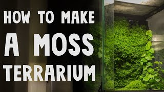 How to Make a Moss Terrarium [upl. by Ineslta84]