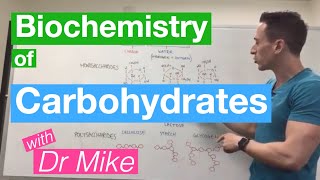 Carbohydrates  Biochemistry [upl. by Jarek]