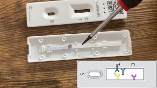 Lateral Flow Test Teardown [upl. by Tracay465]