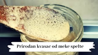 PRIRODAN KVASAC od meke spelte KAKO NAPRVITI DOMAĆI KVASAC starter [upl. by Elison]