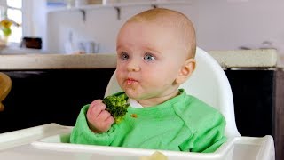 Babyled weaning basics [upl. by Borg489]