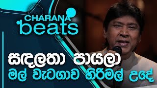 Sanda Latha Payala  සඳලතා පායලා  Keerthi Pasqual [upl. by Hirschfeld]