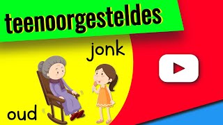 Teenoorgesteldes in Afrikaans 👉 Opposites in Afrikaans [upl. by Hidie]