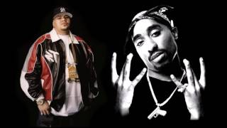 Fat Joe  Whats Luv Ft Ashanti  2Pac Tricky Mashup [upl. by Niamart]