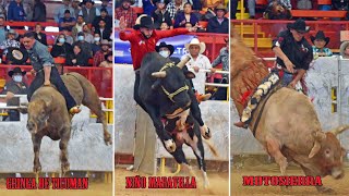 LOS MEJORES JINETES Y TOROS DE USA  Torneo Nacional de Toros de Reparos Houston Texas 2021 [upl. by Dall873]