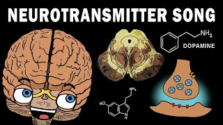 THE NEUROTRANSMITTER SONG [upl. by Netsrijk]