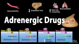 Adrenergic Drugs  Pharmacology Animation [upl. by Dnaltroc]