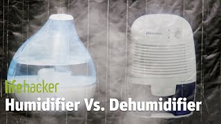 Humidifier VS Dehumidifier [upl. by Heins178]