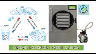 Freeze drying or Lyophilization in depth [upl. by Llenrrad22]