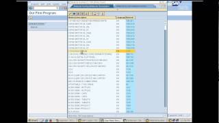 Creating our first report program in SAP  Day 4 [upl. by Ardle126]