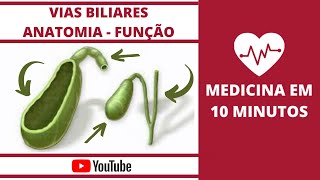 Vias Biliares Anatomia e Fisiologia [upl. by Ahsyek]