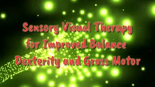 Sensory Therapy Visual Light Tunnel Extended [upl. by Ynnol]