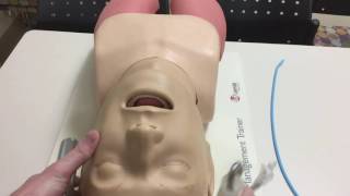 How to Intubate Manual Laryngoscopy [upl. by Renaxela831]