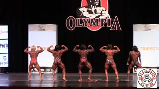 Womens Bodybuilding All Competitors 2020 IFBB Pro Ms Olympia [upl. by Narok]