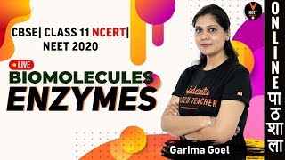 Enzymes  Biomolecules  Class 11 Biology Chapter 9  NEET 2020  NEET Biology  by Garima Goel [upl. by Hulbert]