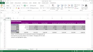 How to Use Excel Scenario Manager [upl. by Sirac]