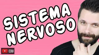 SISTEMA NERVOSO  FISIOLOGIA  Aula  Biologia com Samuel Cunha [upl. by Ainalem68]