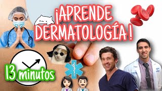 PIEL ¡Anatomía funcional en 13 minutos BASES DE LA DERMATOLOGÍA [upl. by Anpas966]