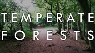 The Temperate Forest Biome  Biomes6 [upl. by Ahseinad470]