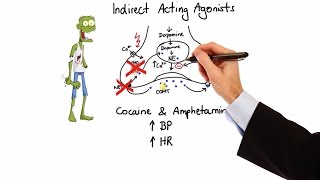 Pharmacology  ADRENERGIC RECEPTORS amp AGONISTS MADE EASY [upl. by Wain]