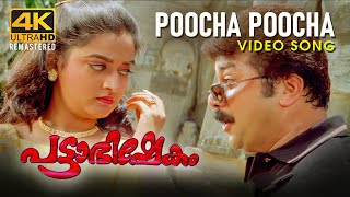 Poocha Poocha Video Song  Pattabhishekam 4K  Jayaram  Mohini  BernyIgnatius  M G Sreekumar [upl. by Dnomayd]