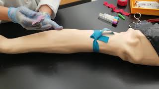 Phlebotomy Venipuncture Procedure [upl. by Adnoryt]